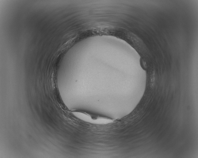 X0000080661060200701050937