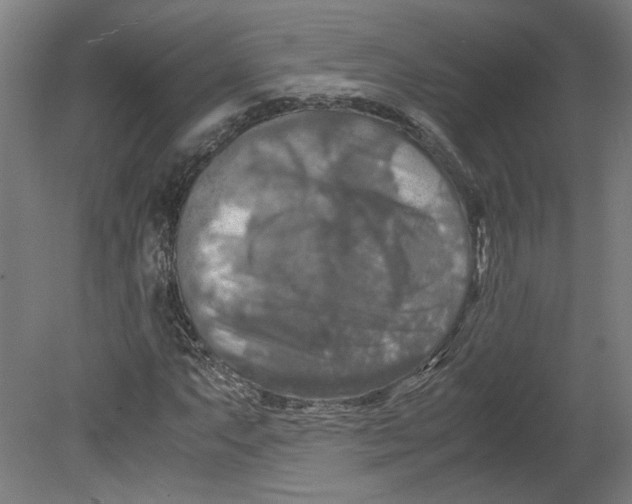 X0000080661063200701050937