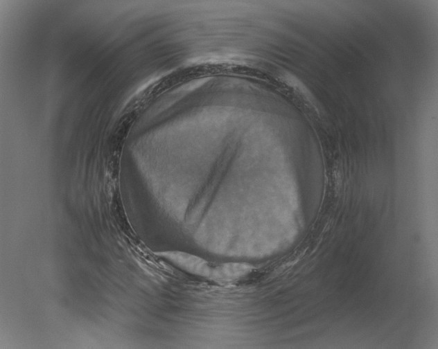 X0000080661064200701050937