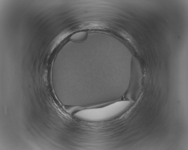 X0000080661066200701050937