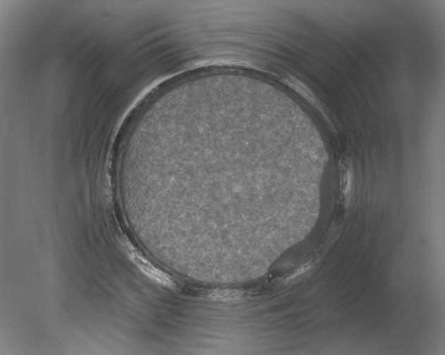 X0000080661068200701050937