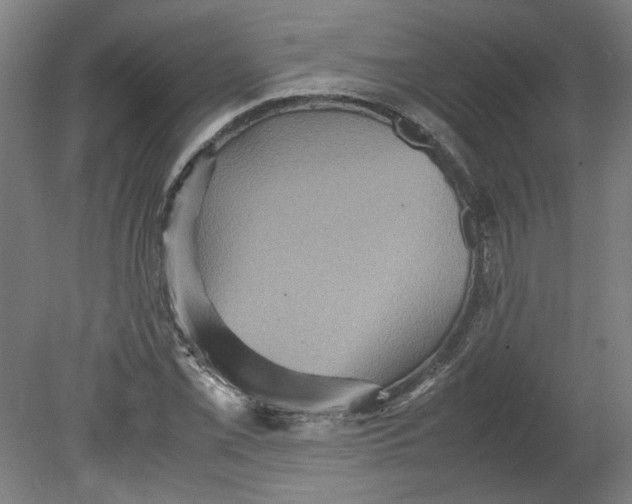 X0000080661069200701050937