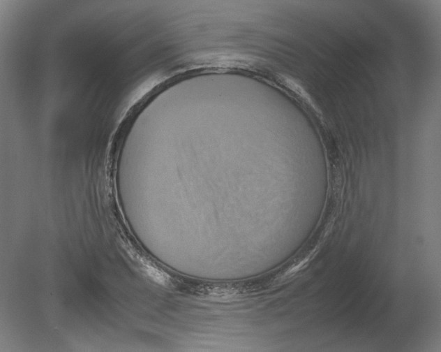 X0000080661071200701050937