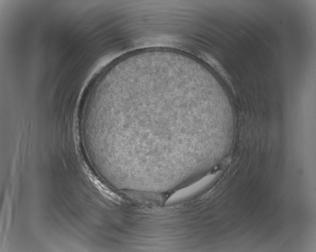 X0000080661072200701050937