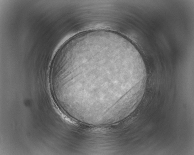 X0000080661086200701050936