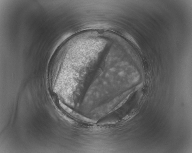 X0000080661087200701050936