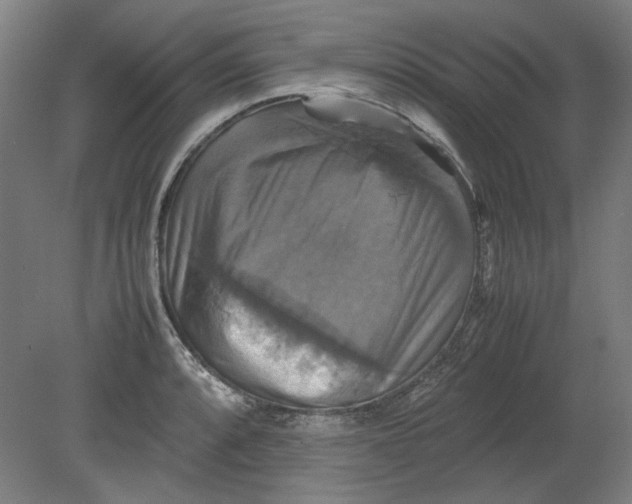 X0000080661088200701050936