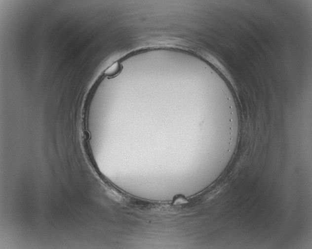 X0000080661093200701050936