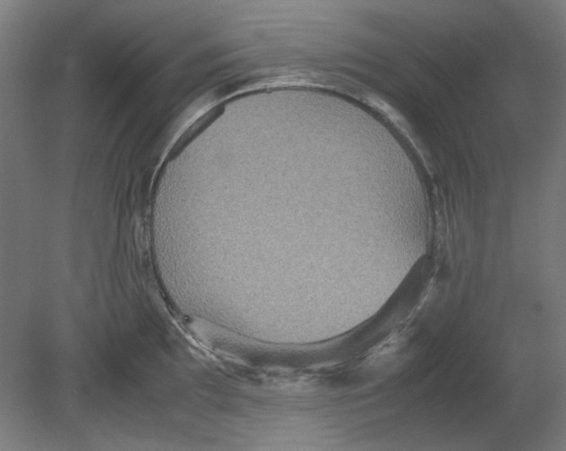 X0000080661097200701050936