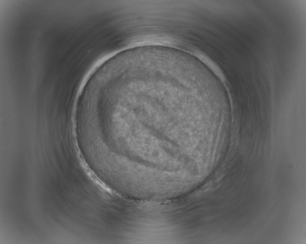 X0000080661104200701050936