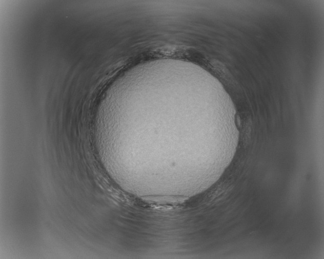 X0000080661105200701050935