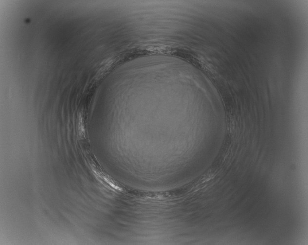 X0000080661106200701050935