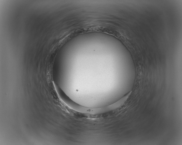 X0000080661109200701050935