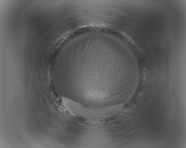 X0000080661110200701050935