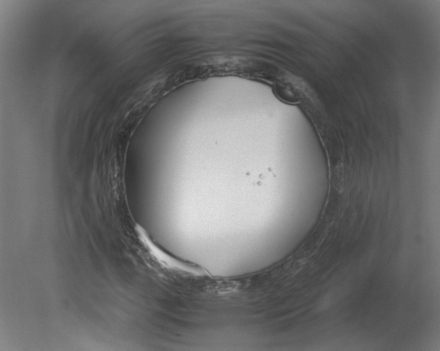 X0000080661111200701050935