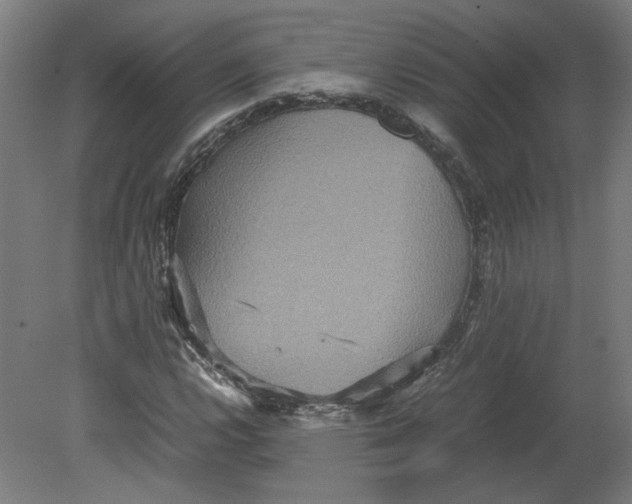 X0000080661112200701050935