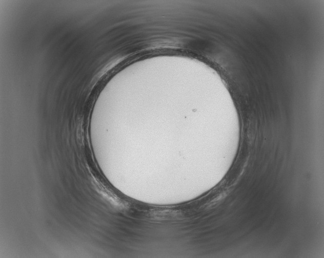 X0000080661113200701050935