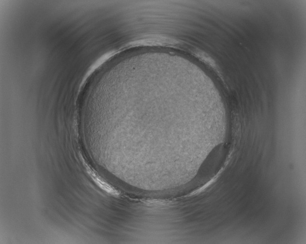 X0000080661114200701050935