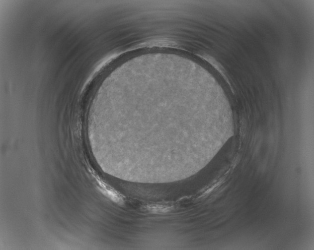 X0000080661115200701050935