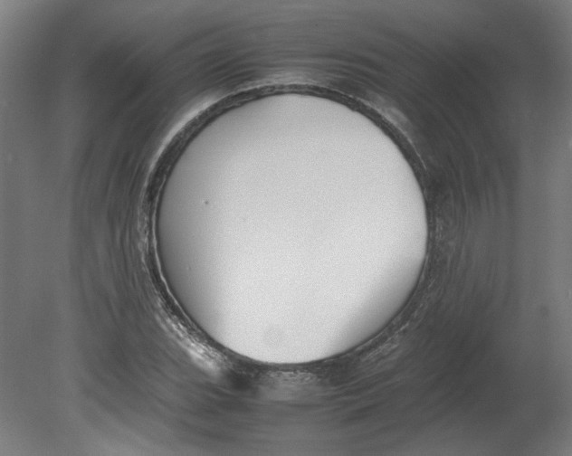 X0000080661119200701050935