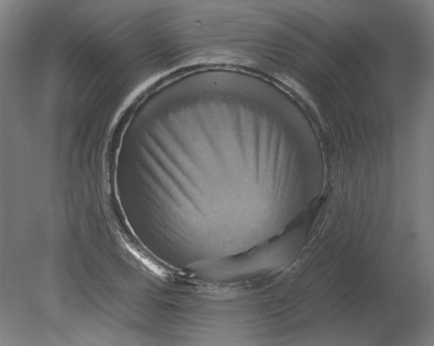 X0000080661120200701050935