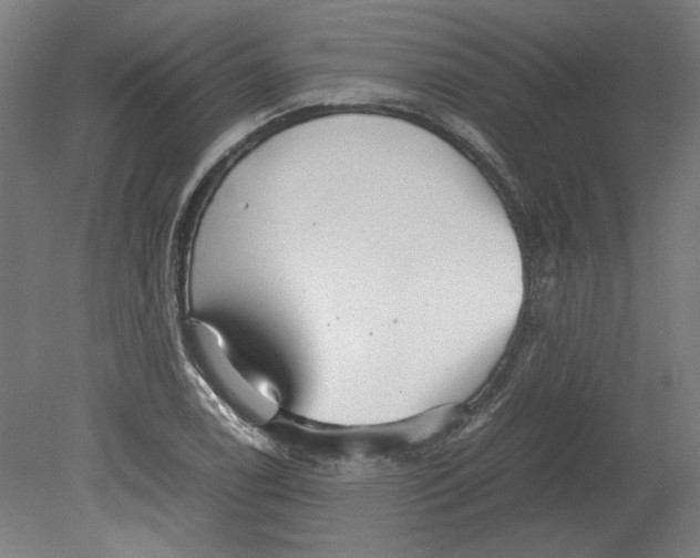 X0000080661122200701050936