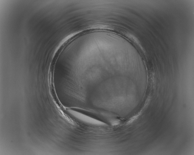 X0000080661125200701050936