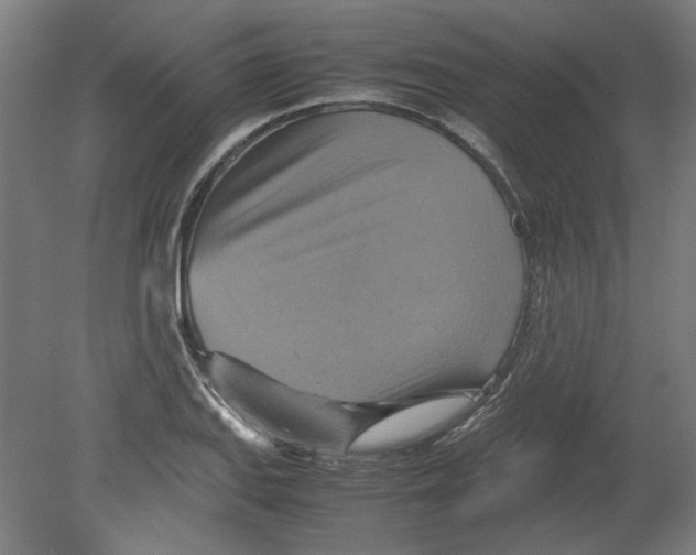 X0000080661127200701050936