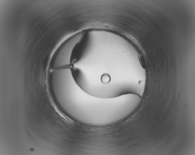 X0000080661128200701050936