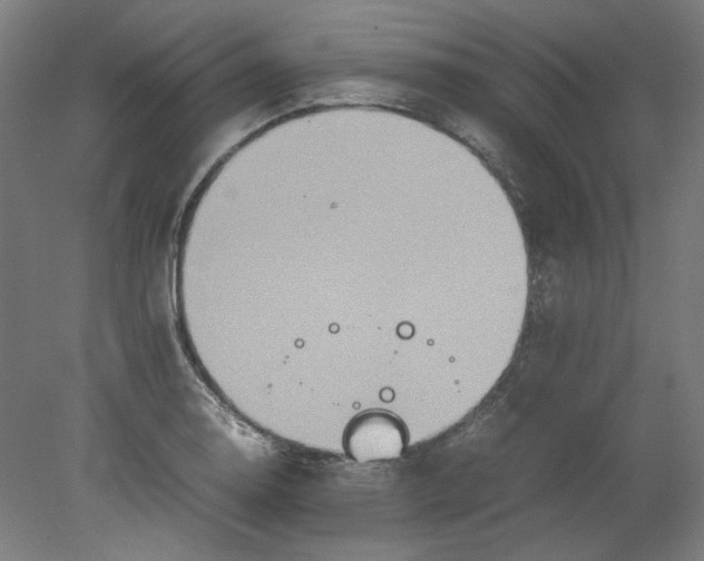 X0000080661130200701050936