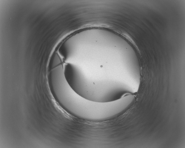 X0000080661132200701050936