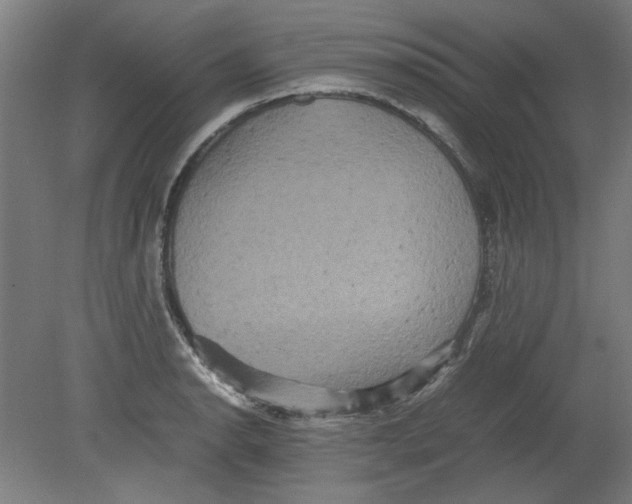 X0000080661134200701050936