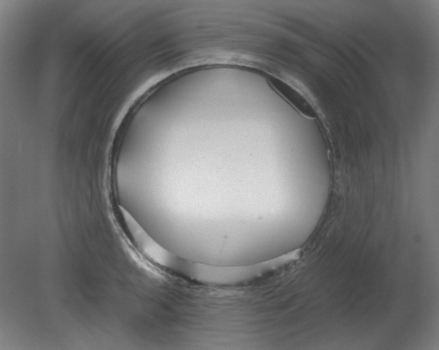 X0000080661136200701050936