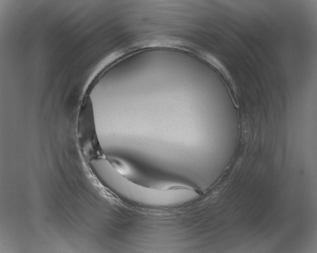 X0000080661138200701050936