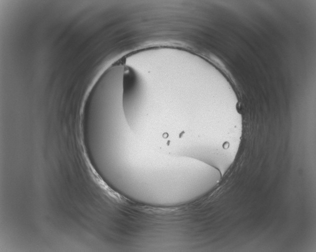 X0000080661140200701050936