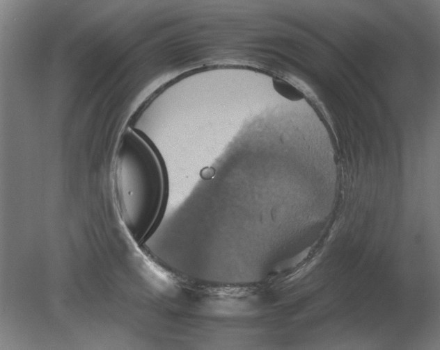 X0000080661141200701050936