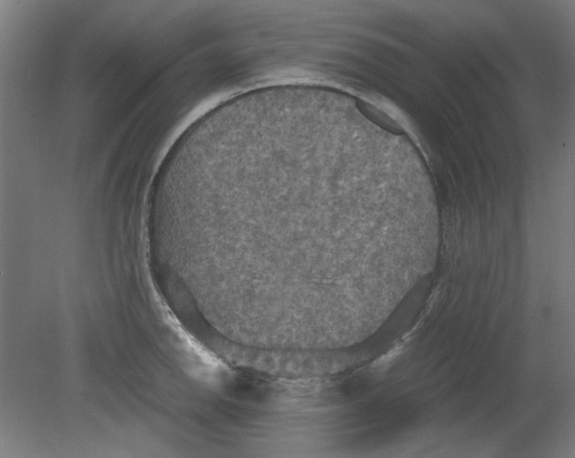 X0000080661142200701050936