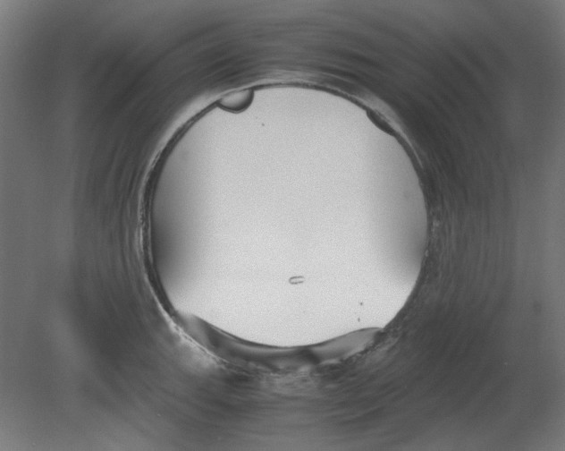 X0000080661143200701050936