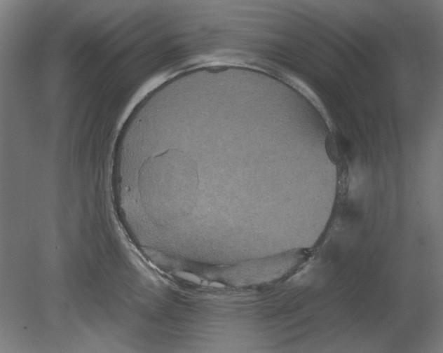 X0000080661146200701050936