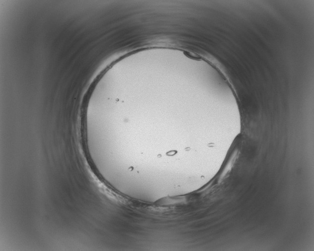 X0000080661147200701050936