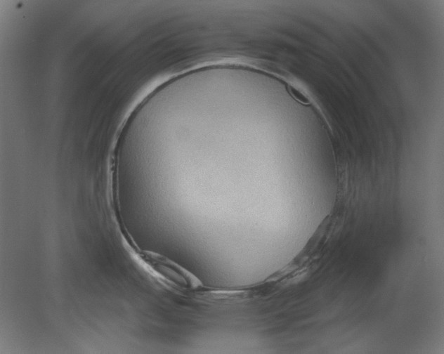 X0000080661151200701050936