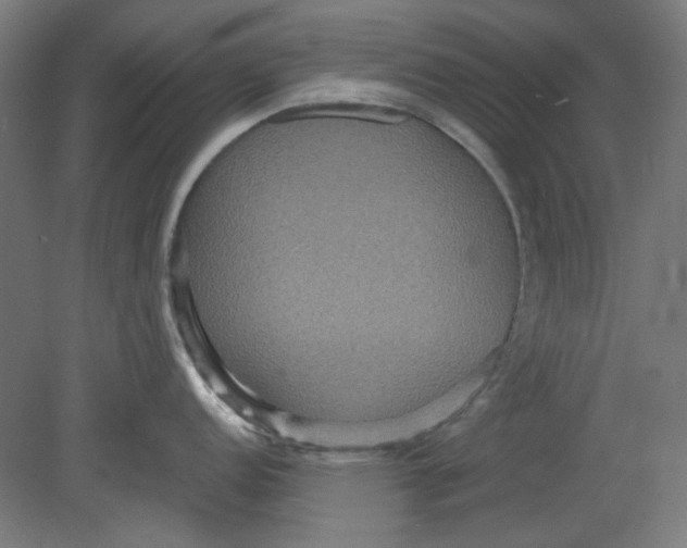 X0000080661152200701050936