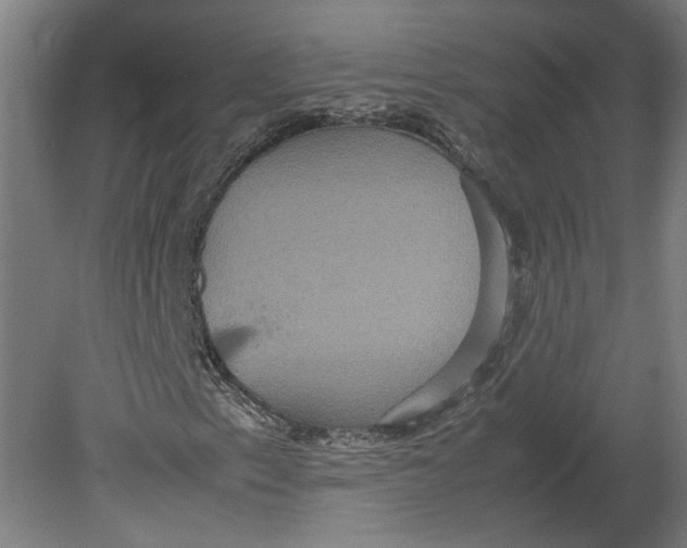 X0000080661153200701050935