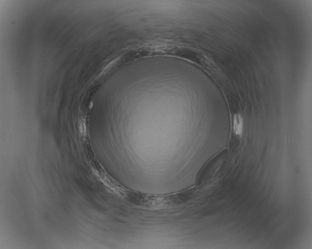 X0000080661155200701050935