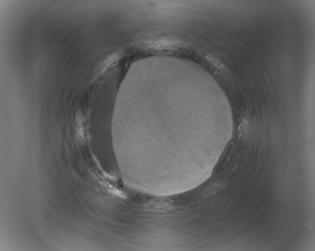 X0000080661156200701050935