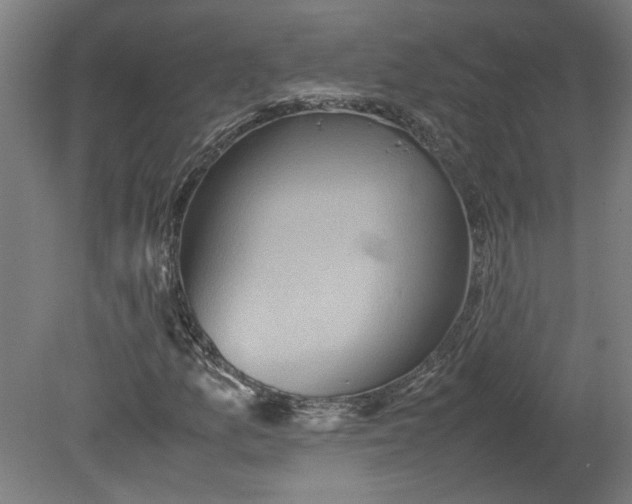 X0000080661157200701050935