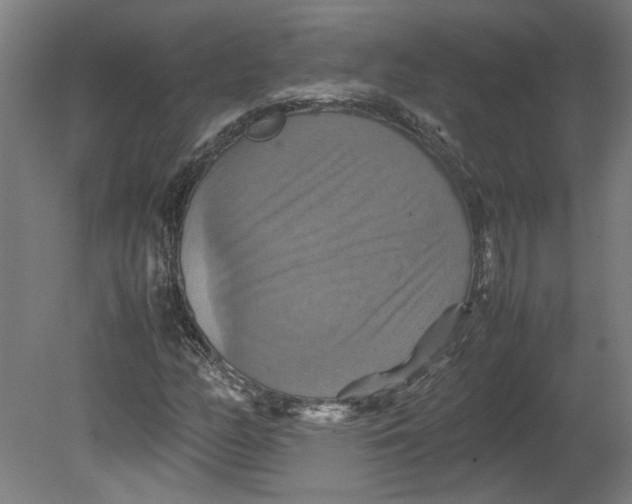 X0000080661158200701050935