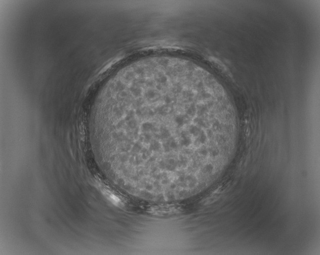 X0000080661159200701050935