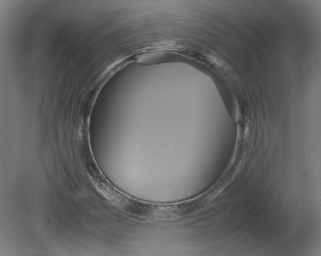 X0000080661161200701050935