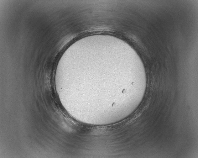 X0000080661162200701050935